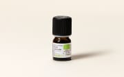 Olio essenziale di Inula odorosa