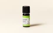 Organic Peppermint Essential Oil