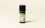 Olio essenziale di Eucalipto radiata BIO