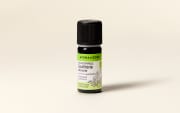 Olio essenziale di Gaultheria odorante