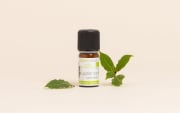 Huile essentielle Laurier noble BIO