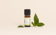 Huile essentielle Laurier noble BIO