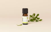 Olio essenziale di Tea tree (Albero del tè) BIO