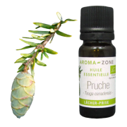 Olio essenziale di Cicuta BIO