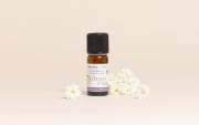 Fragrance naturelle Douceur d'Ange