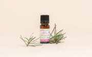 Active Radiance and Brightening Concentrate