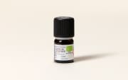 Olio essenziale di Tè del Labrador (Ledum) BIO