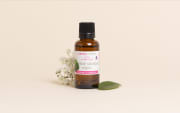 Actif Acide salicylique végétal