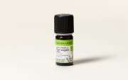 Olio essenziale di Timo linalolo BIO
