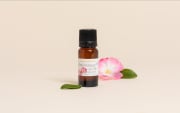 Huile de Rose Musquée du Chili BIO