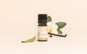 Extrait aromatique de vanille (facultatif)
