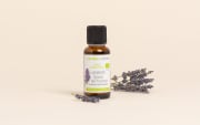 Huile essentielle Lavandin grosso de Provence BIO