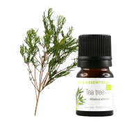 Olio essenziale Tea tree (Albero del tè) BIO
