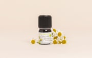 Huile essentielle Camomille allemande BIO (ou Matricaire)