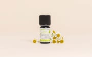 Olio essenziale di Camomilla tedesca (blu)