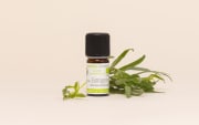Huile essentielle Estragon BIO