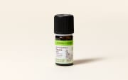 Huile essentielle Encens oliban