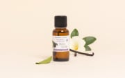 Fragrance naturelle Divine Vanille