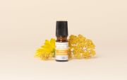 Olio essenziale di Elicriso