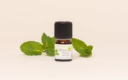 Huile essentielle Mélisse officinale BIO