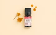 Actif cosmétique Tonique Immortelle