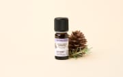 Fragranza naturale Abete stellato