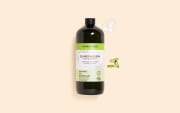 Extrait de plante Gel d'aloe vera BIO