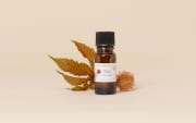 Huile de Ricin BIO