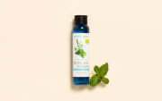 Hydrolat de Menthe verte de Provence BIO
