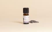Fragrance naturelle Musc de Provence
