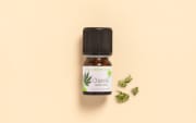 Huile essentielle Chanvre BIO