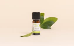 Huile essentielle de niaouli Aroma-Zone avec feuille sur fond beige