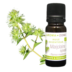 Olio essenziale Maggiorana silvestre BIO