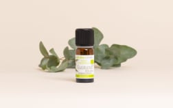Olio essenziale di Eucalipto globulo BIO