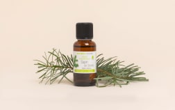 Huile essentielle Sapin de Sibérie