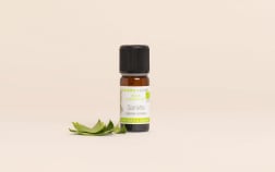 Huile essentielle Sarriette des montagnes BIO