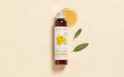 Organic St John’s Wort Infused Oil