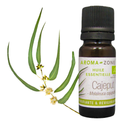 Huile essentielle Cajeput BIO
