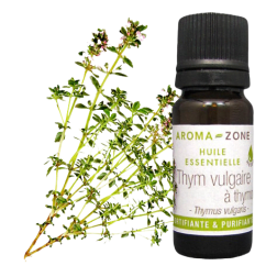 Huile essentielle Thym à thymol