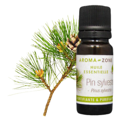 Scots Pine Essential Oil