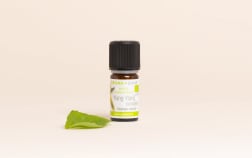 Olio essenziale di Ylang-ylang completo BIO