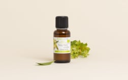 Huile essentielle Ylang-Ylang complète BIO