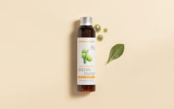 Olio di Calophylle inophyle BIO