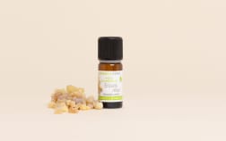 Frankincense Essential Oil