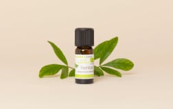 Organic Ravintsara Essential Oil