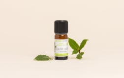 Olio essenziale di Alloro