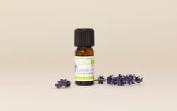 Huile essentielle Lavande vraie de Bulgarie BIO