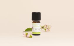 Huile essentielle Manuka