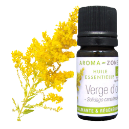 Olio essenziale di Verga d'oro BIO
