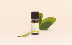 Huile essentielle Myrte rouge BIO